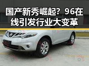 国产新秀崛起？96在线引发行业大变革